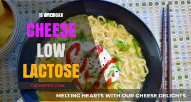 Is American Cheese Low Lactose? Uncovering the Truth for Sensitive Stomachs
