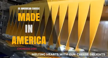 Is American Cheese an American Product?