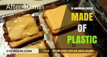 Unraveling the Mystery: Is American Cheese Made of Plastic?