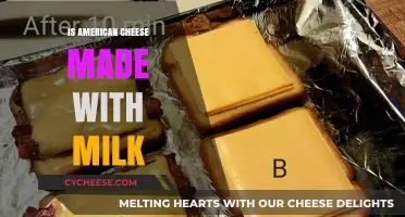 Is American Cheese a Milk-Based Delight?