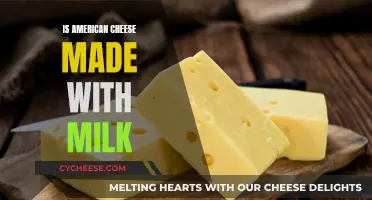 American Cheese: What's the Deal with Milk?