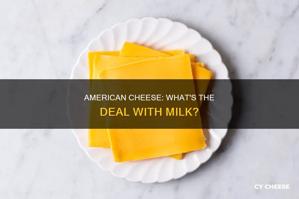 is american cheese made with milk