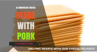 American Cheese: A Surprising Ingredient You Might Not Know About