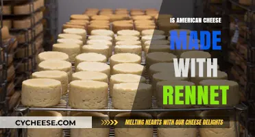 Unveiling the Truth: Is American Cheese Made with Rennet?