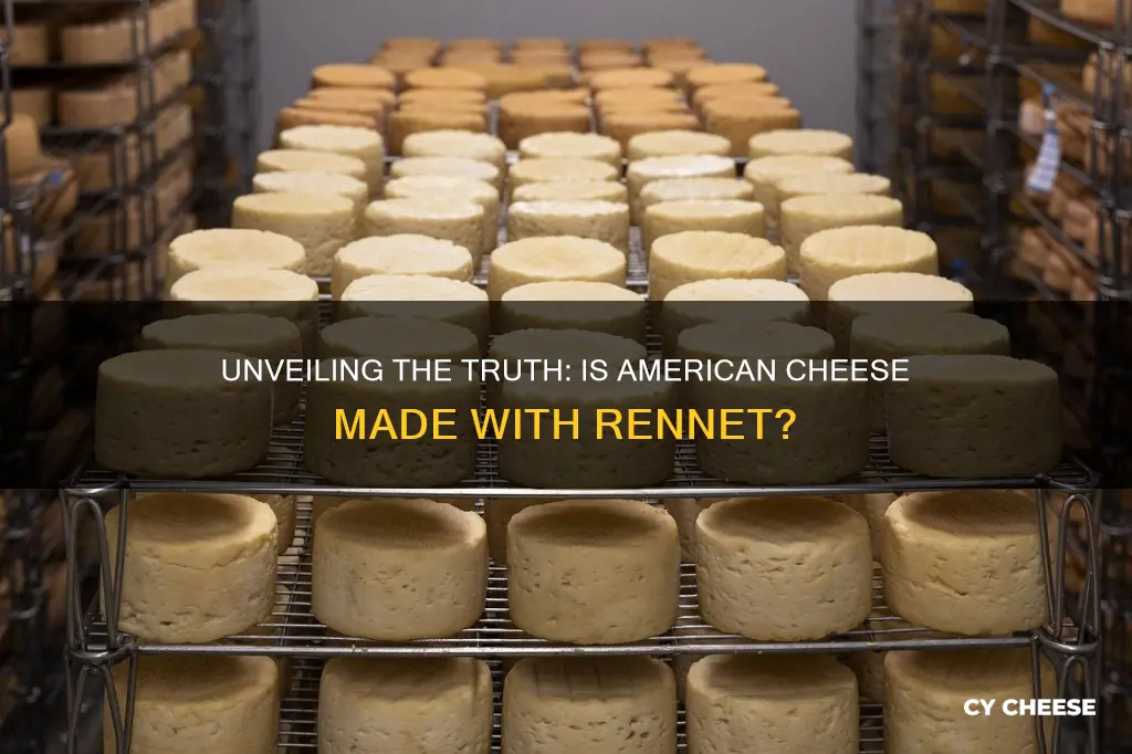 is american cheese made with rennet