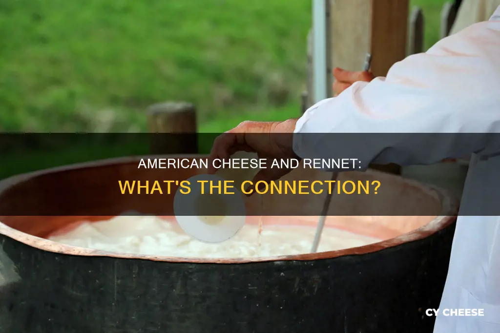 is american cheese made with rennet