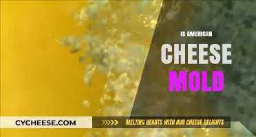 Is American Cheese Mold-Prone? Uncovering the Truth Behind Its Shelf Life