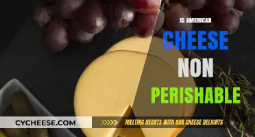 Is American Cheese Non-Perishable? Shelf Life and Storage Tips
