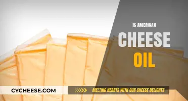 Is American Cheese Oil? Unraveling the Truth Behind the Myth