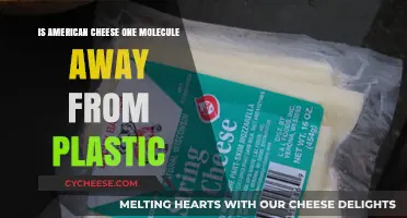 Is American Cheese Nearly Plastic? Unraveling the Molecular Mystery