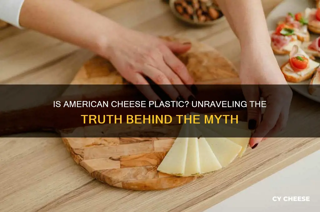is american cheese plastic