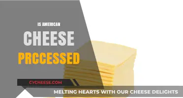 Is American Cheese Processed? Unraveling the Truth Behind the Slice