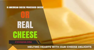 American Cheese: Processed or Real? Unraveling the Dairy Debate