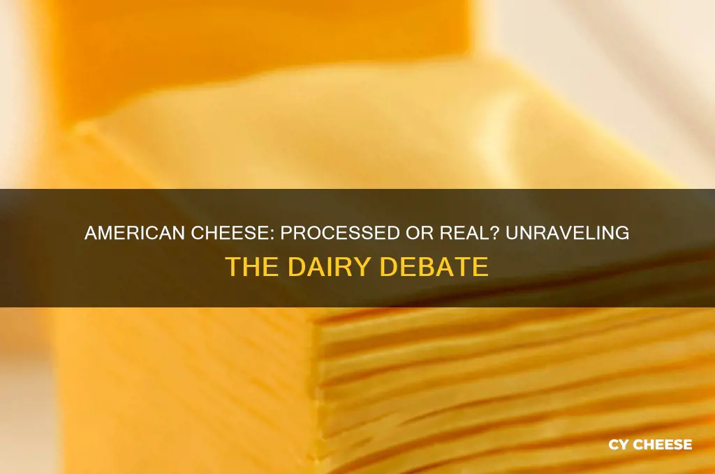 is american cheese processed cheese or real cheese
