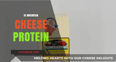 Is American Cheese a Good Protein Source? Facts and Myths