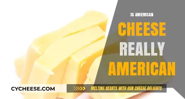 Is American Cheese Truly American? Unraveling the Cheesy Origin Story