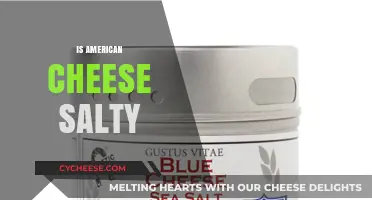 Is American Cheese Too Salty? Uncovering the Truth About Its Flavor