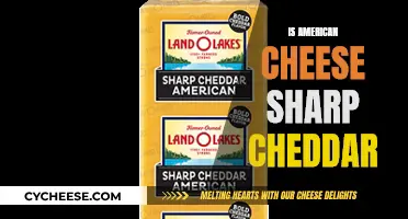 American Cheese: Is It as Sharp as Cheddar?