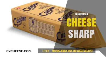 Is American Cheese Sharp? Unraveling the Mystery of Its Flavor Profile