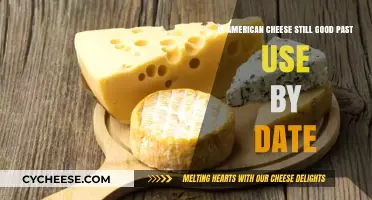 American Cheese: How Long Does It Last?