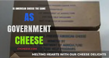 American Cheese vs. Government Cheese: Unraveling the Dairy Mystery