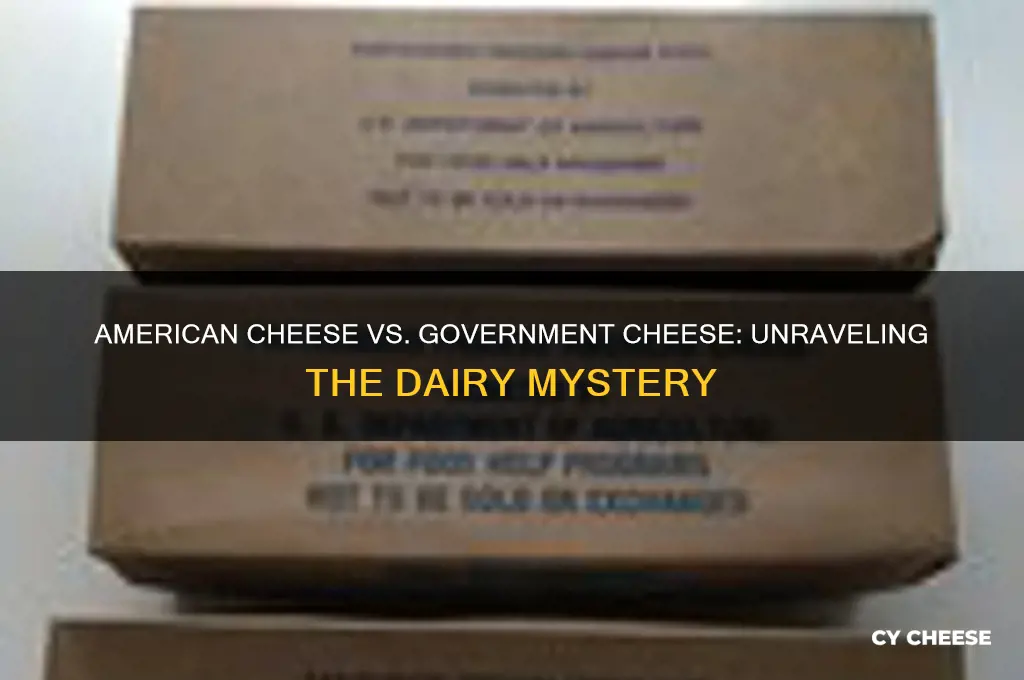is american cheese the same as government cheese