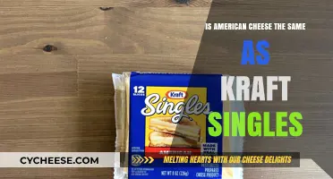 American Cheese vs. Kraft Singles: Unraveling the Melty Mystery