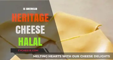 Is American Heritage Cheese Halal? Exploring Ingredients and Certification