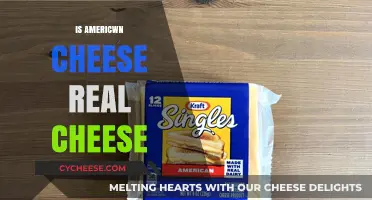 Is American Cheese Real? Unraveling the Dairy Debate