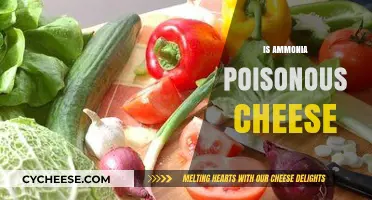 Is Ammonia in Cheese Harmful? Unraveling the Toxic Truth