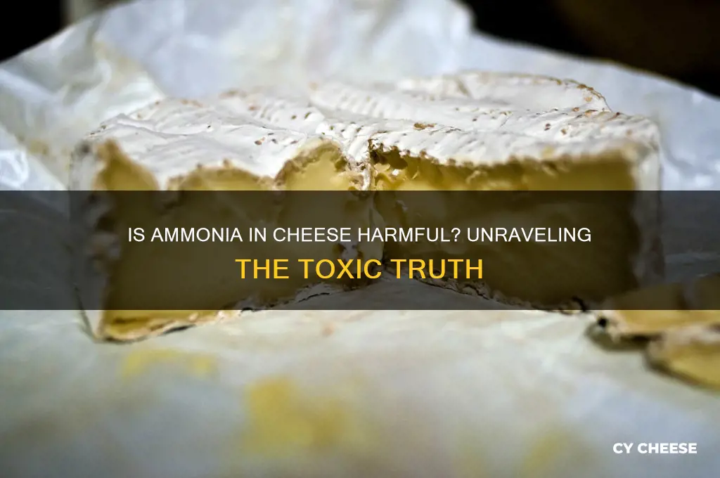 is ammonia poisonous cheese