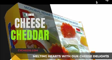 Amul Cheese: Cheddar or Not?