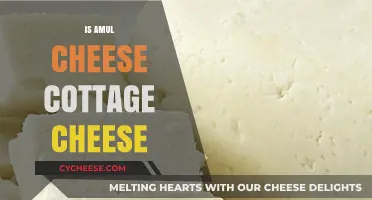 Is Amul Cheese Cottage Cheese? Unraveling the Dairy Confusion