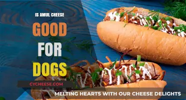 Amul Cheese: A Healthy Treat for Dogs?