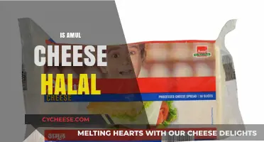 Is Amul Cheese Halal? Exploring Ingredients and Certification