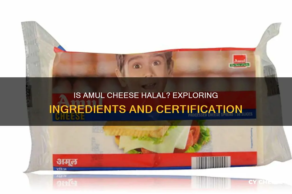 is amul cheese halal