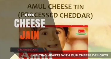 Is Amul Cheese Jain? Exploring Ingredients and Dietary Compatibility