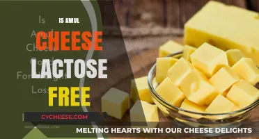 Amul Cheese: Lactose-Free or Not?