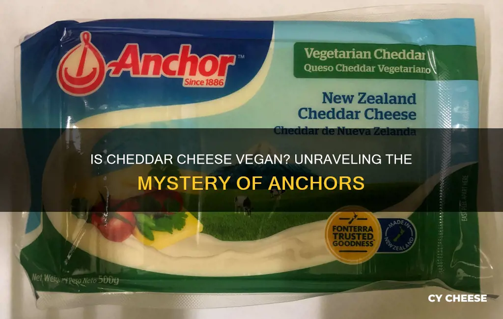 is anchor cheddar cheese vegetarian