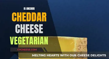 Cheddar Cheese: Vegetarian-Friendly or Not?