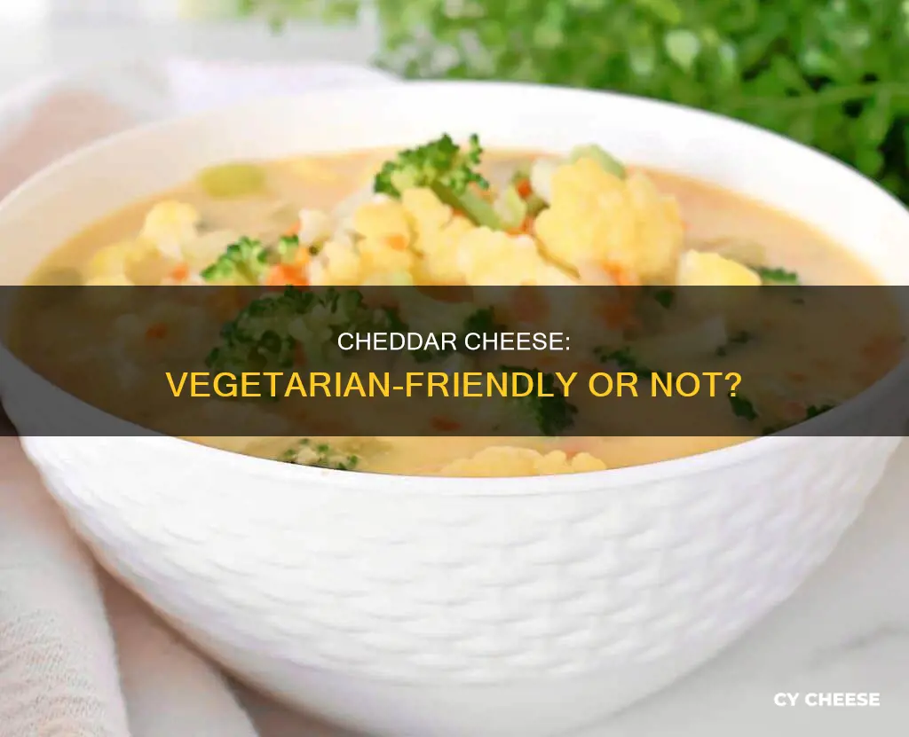 is anchor cheddar cheese vegetarian
