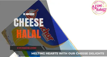 Is Anchor Cheese Halal? Exploring Its Ingredients and Certification