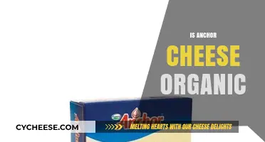 Is Anchor Cheese Organic? Uncovering the Truth Behind the Label