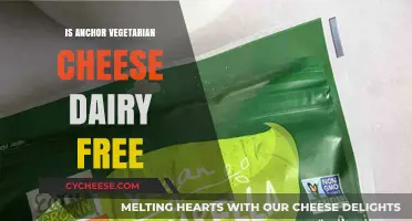 Anchor's Vegetarian Cheese: Dairy-Free Delights?