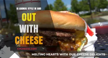 Animal Style In-N-Out: Is the Cheesy Secret Menu Worth It?