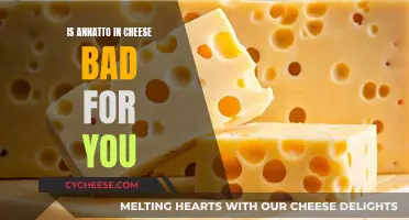 Annatto in Cheese: Is It Harmful?