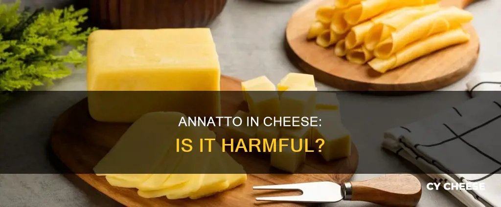 is annatto in cheese bad for you