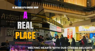 Is Antonelli's Cheese Shop Real? Unveiling the Truth Behind the Legend