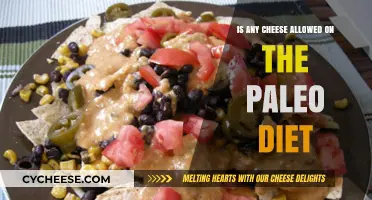 Paleo Diet Cheese Guide: Which Types Are Allowed and Why