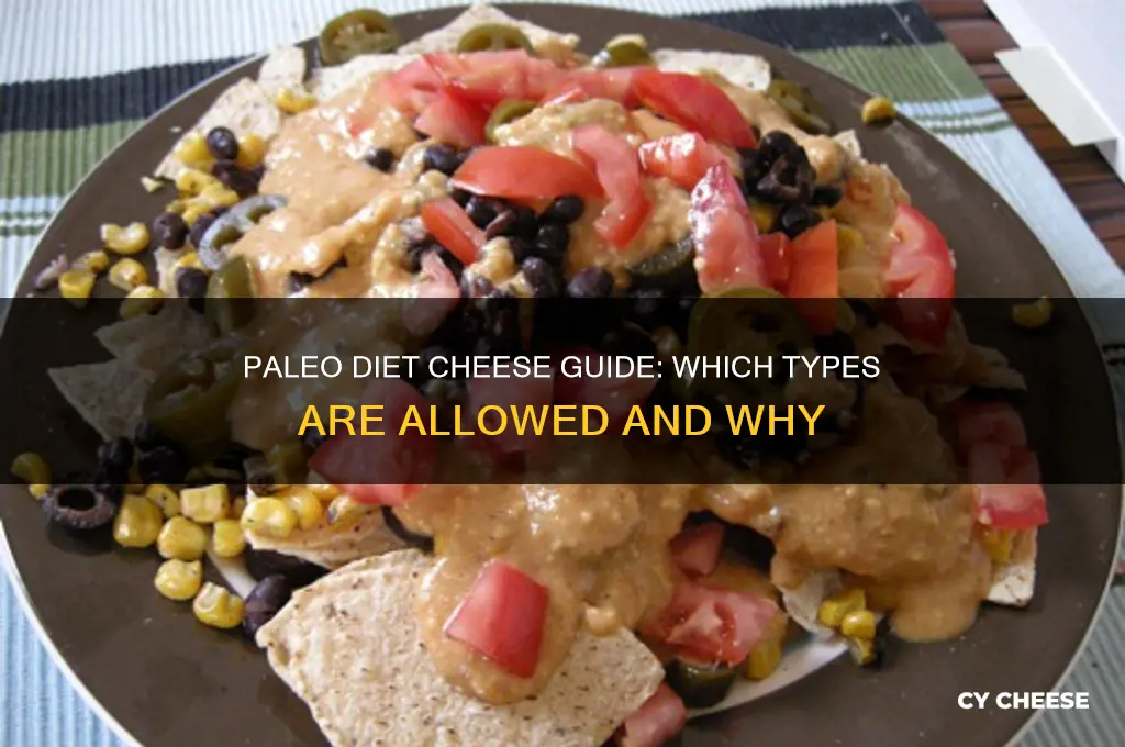 is any cheese allowed on the paleo diet
